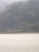 3.24.06 Dog Mountain 002 